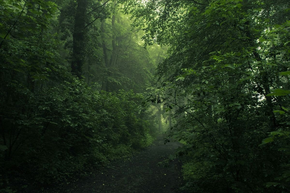 a8dbf682c9a571d397210a112f67b9f4